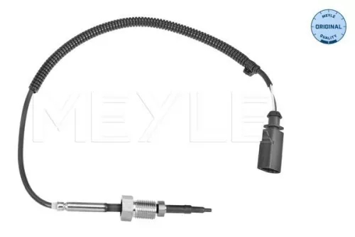 Sensor, exhaust gas temperature