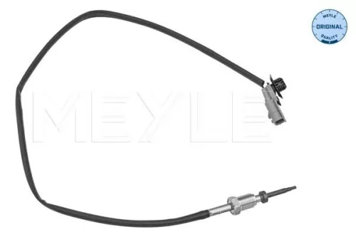 Sensor, exhaust gas temperature