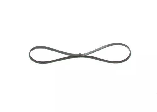 V-ribbed Belt