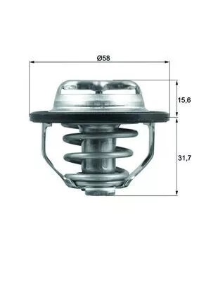 Thermostat, coolant