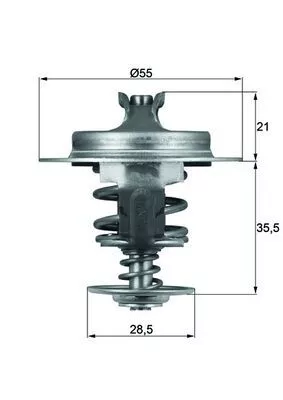 Thermostat, coolant