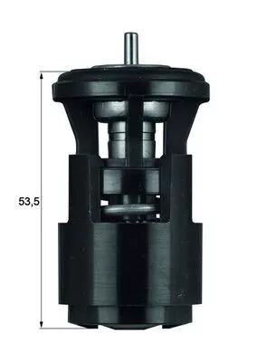 Thermostat, coolant