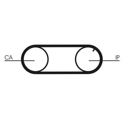 Water Pump & Timing Belt Kit