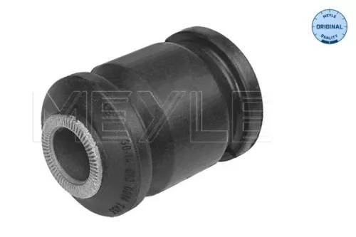 Mounting, control/trailing arm