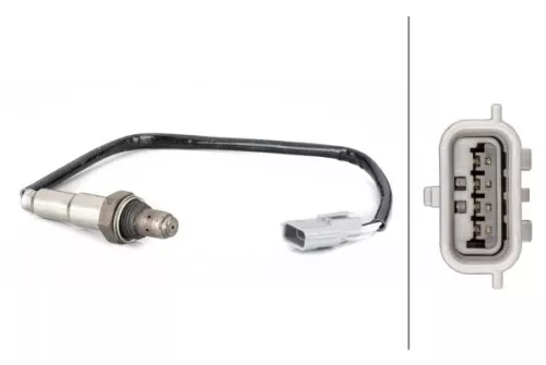 Oxygen Sensor