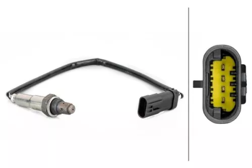 Oxygen Sensor