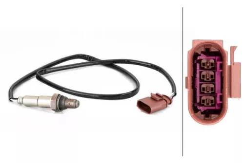 Oxygen Sensor