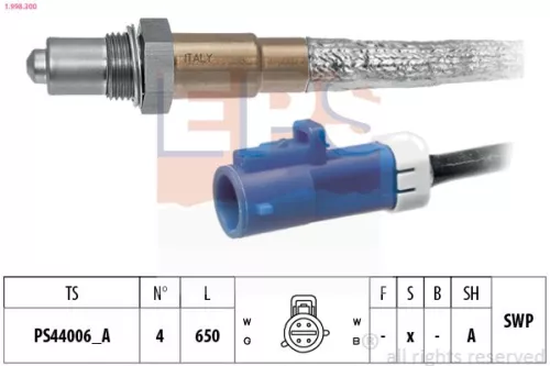 Oxygen Sensor