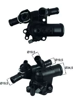 Thermostat, coolant