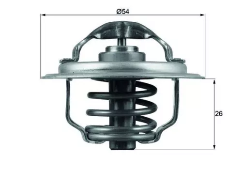 Thermostat, coolant