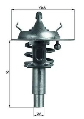 Thermostat, coolant