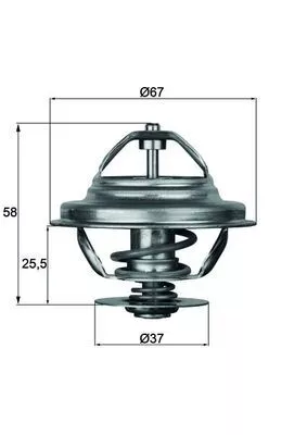 Thermostat, coolant