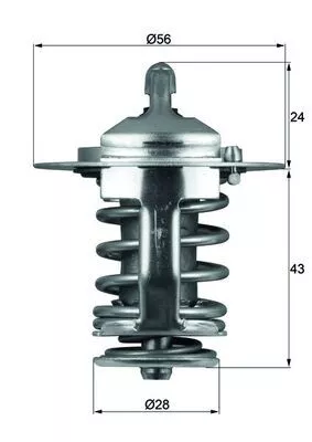 Thermostat, coolant