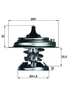 Thermostat, coolant