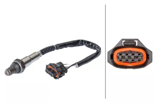 Oxygen Sensor