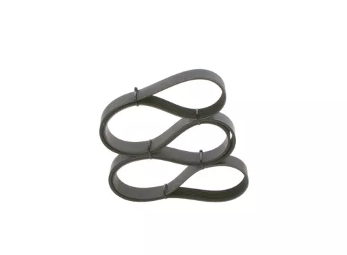 V-ribbed Belt