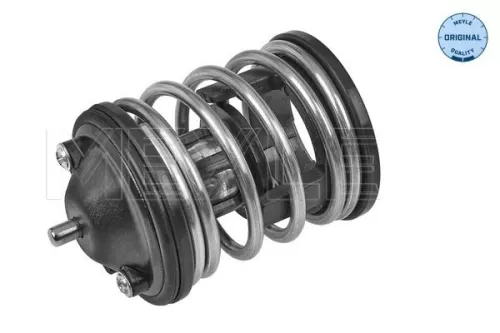 Thermostat, coolant