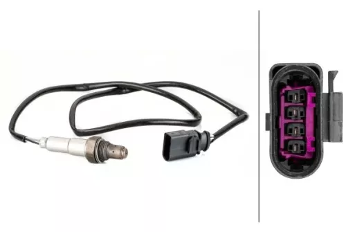 Oxygen Sensor
