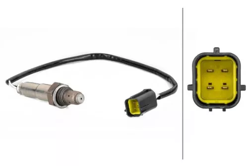 Oxygen Sensor