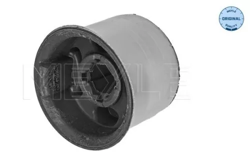 Mounting, control/trailing arm