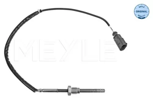 Sensor, exhaust gas temperature