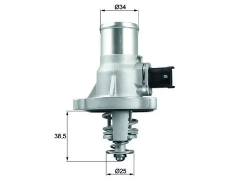 Thermostat, coolant