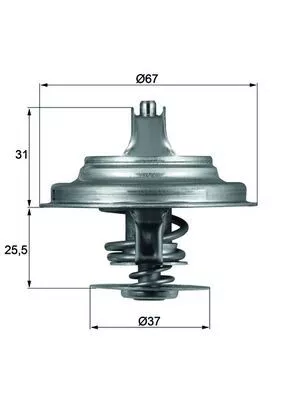Thermostat, coolant