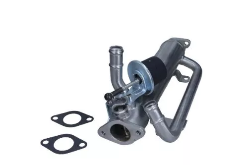 EGR Module