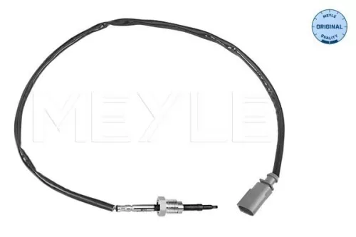 Sensor, exhaust gas temperature