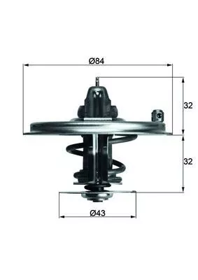 Thermostat, coolant