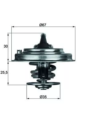 Thermostat, coolant