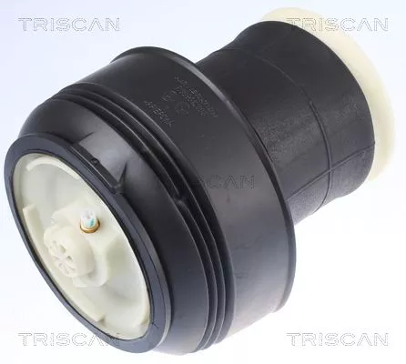 Air Spring, suspension