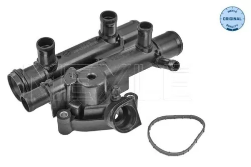 Thermostat, coolant