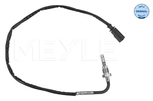 Sensor, exhaust gas temperature