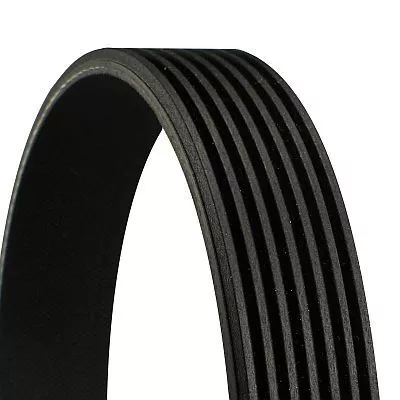 Poly V-Belt