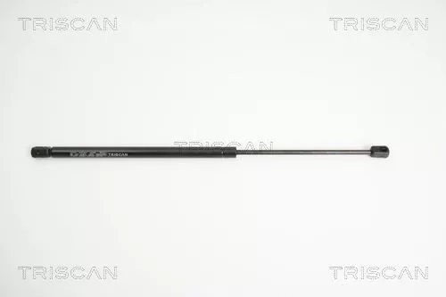 Gas Spring, boot/cargo area
