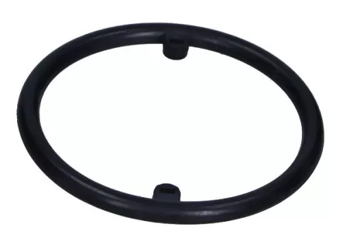 Gasket, oil cooler