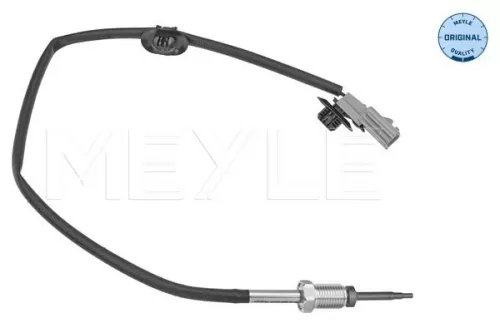 Sensor, exhaust gas temperature