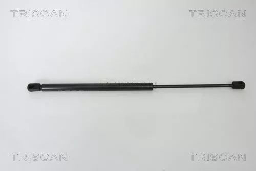Gas Spring, boot/cargo area