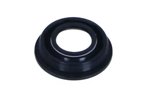 Seal, injector holder