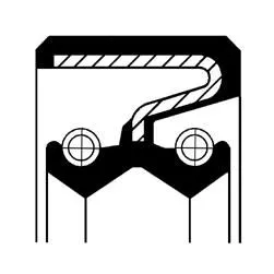 Shaft Seal, wheel hub