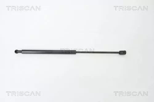 Gas Spring, boot/cargo area