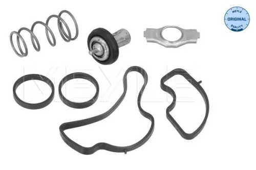 Thermostat, coolant