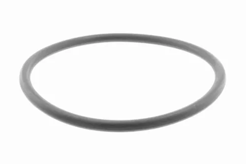 Gasket, thermostat housing