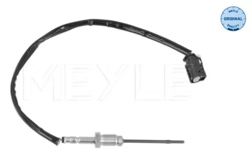 Sensor, exhaust gas temperature