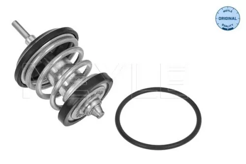 Thermostat, coolant