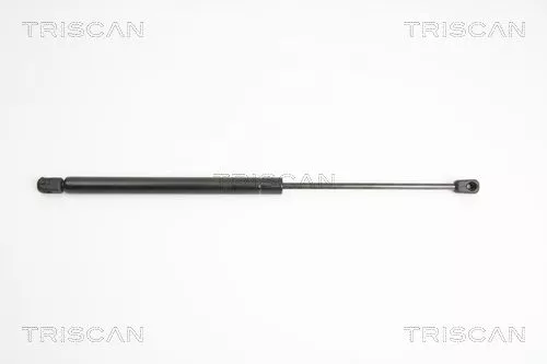 Gas Spring, boot/cargo area