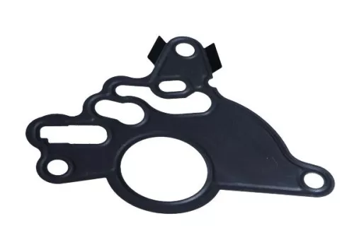 Gasket, vacuum pump