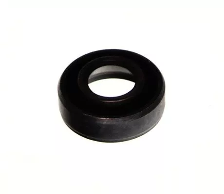 Seal Ring, injector