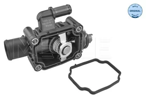 Thermostat, coolant